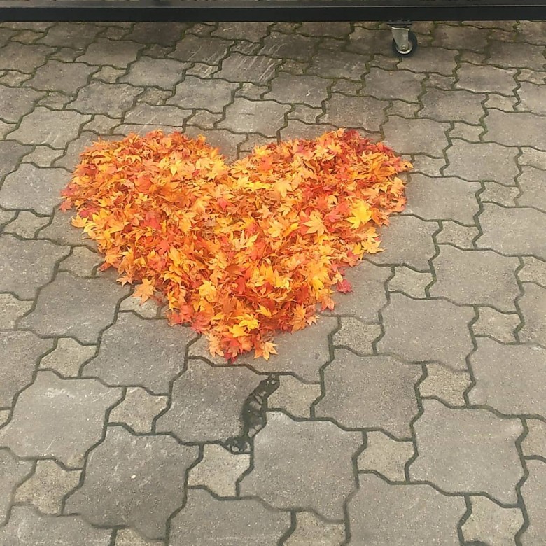 ソニックツアーズのイメージ画像