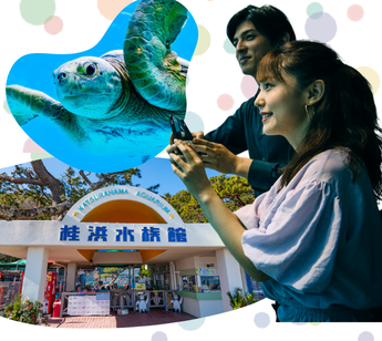 観光を楽しみながら、自然な出会いが生まれる特別な旅。のイメージ画像