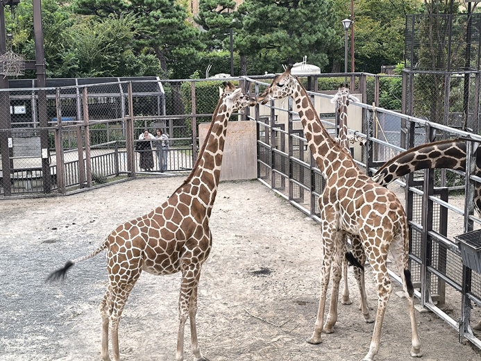 詳細はこちらのイメージ画像