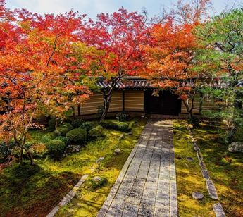 紅葉おさんぽコンパのイメージ画像