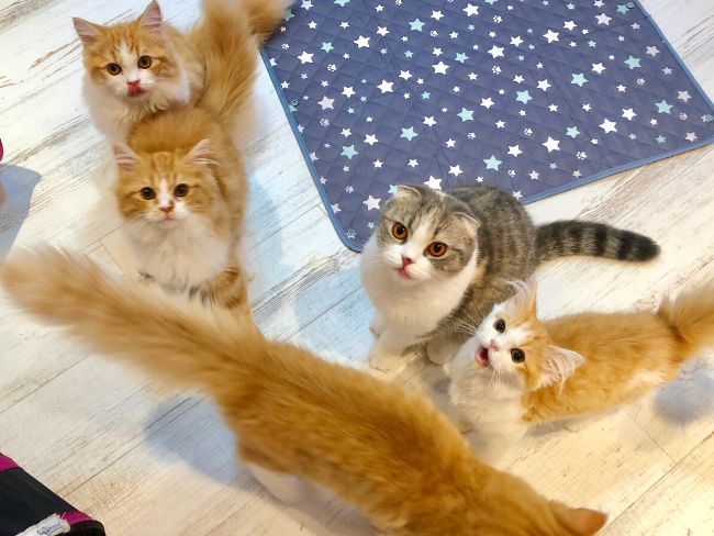 連絡先も交換しやすいサポート有り★のイメージ画像