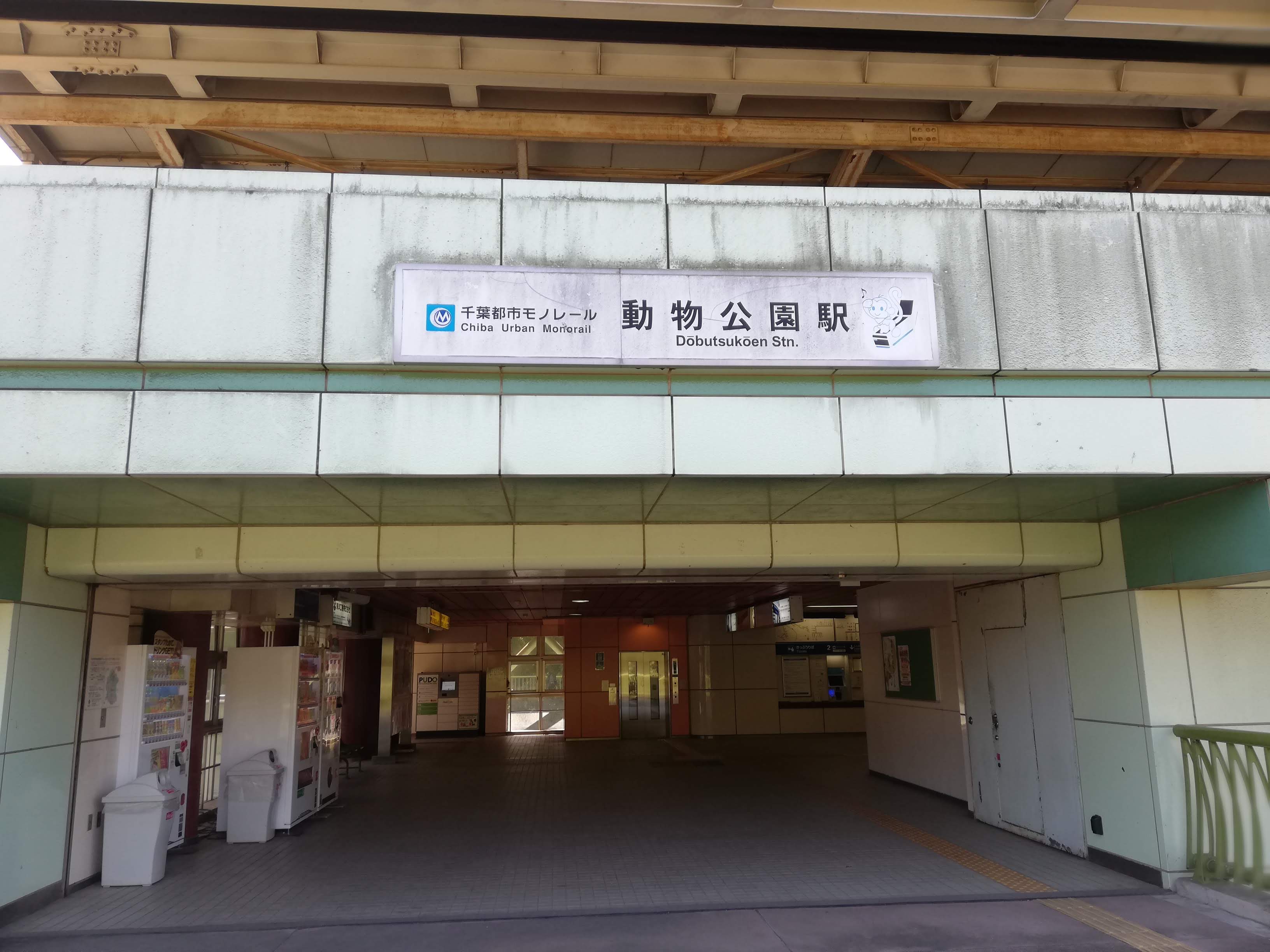 動物のイメージ画像