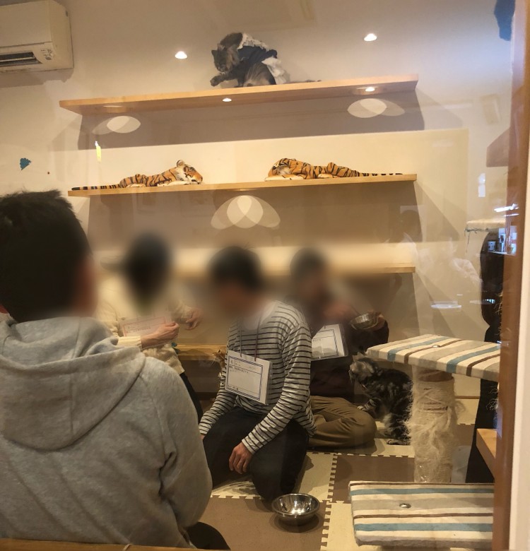 えんむすび ねこぐるまの婚活パーティー情報、口コミや体験談【オミカレ】