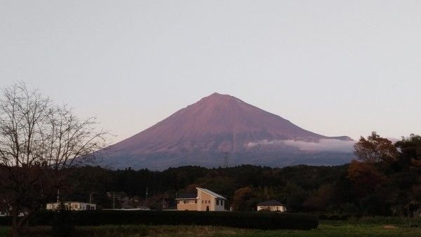 がな恋交流企画のイメージ画像