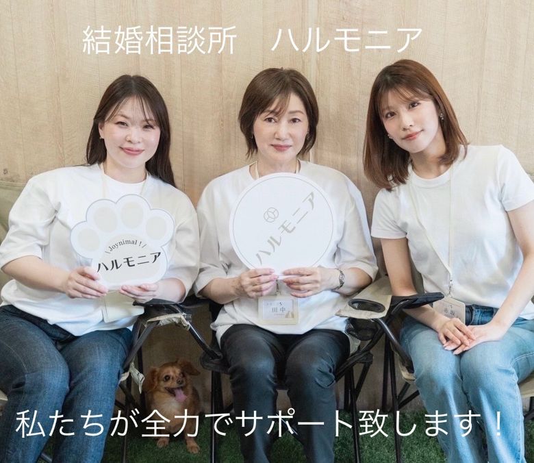 ハルモニアのイメージ画像