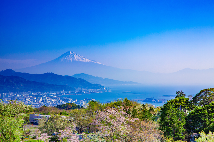 静岡市のイメージ画像