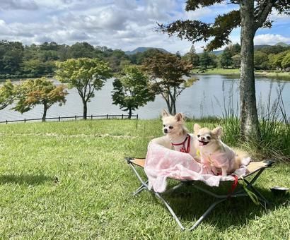 NPO法人Link toのイメージ画像