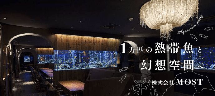 パーティーID:4180439の画像