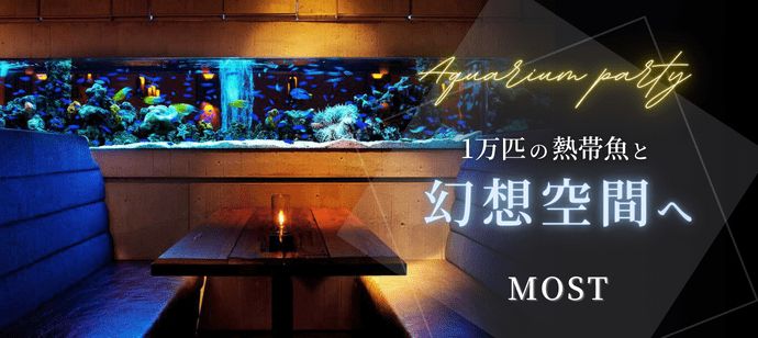パーティーID:4194946の画像