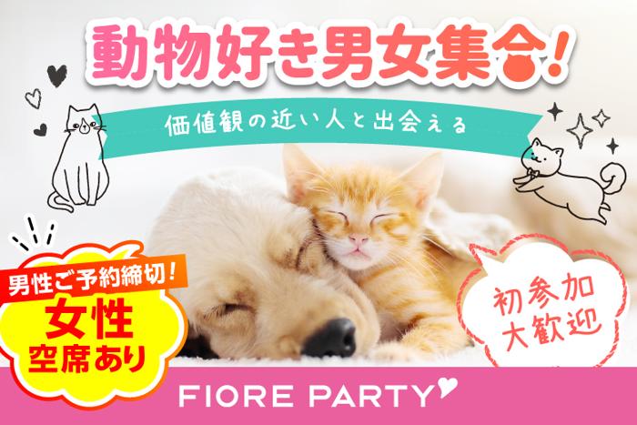 パーティーID:4215500の画像
