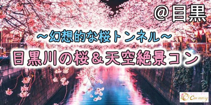パーティーID:4216060の画像