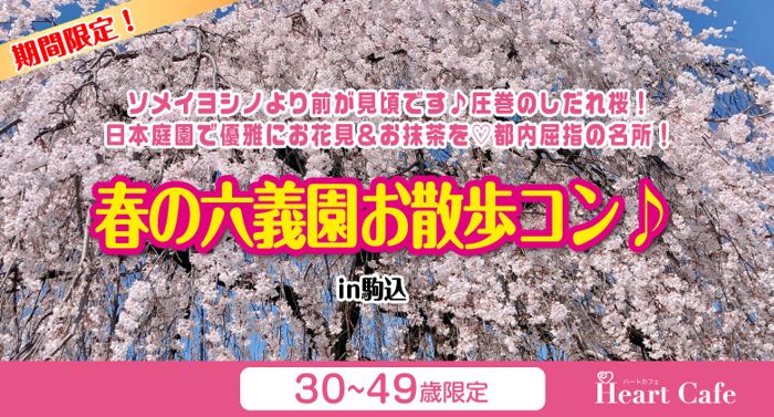 パーティーID:4216086の画像