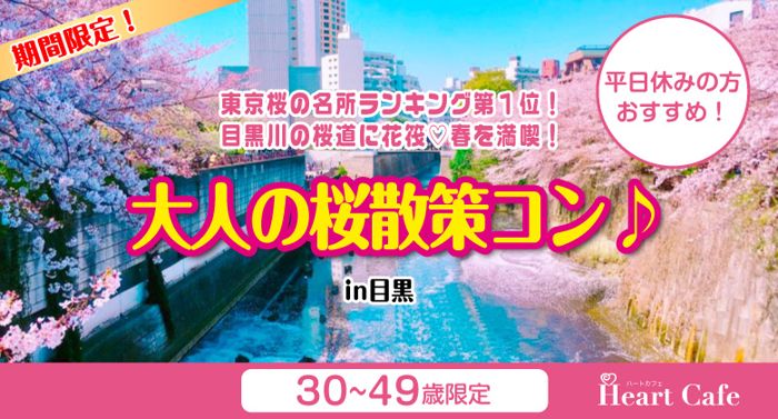 パーティーID:4216119の画像