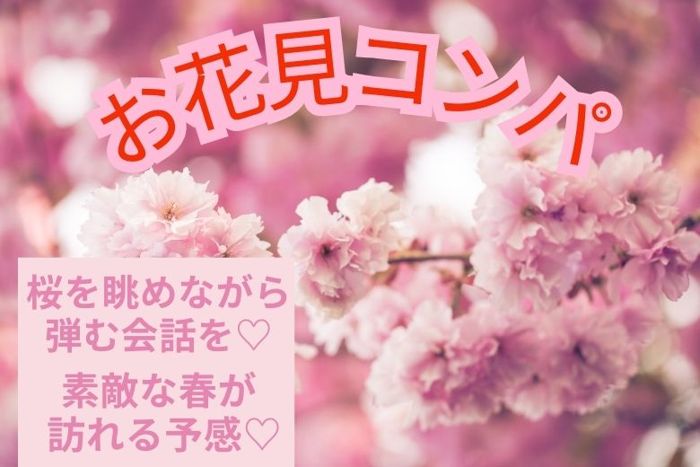 パーティーID:4217078の画像