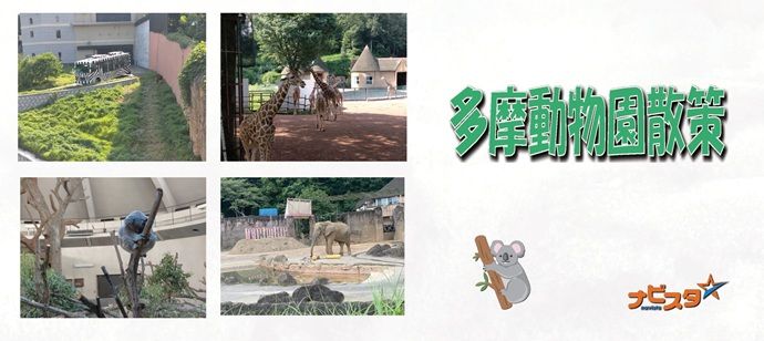 パーティーID:4217209の画像