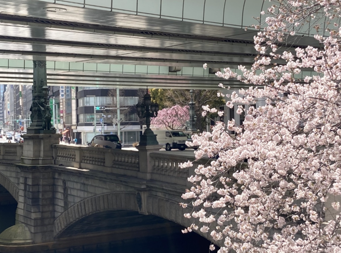 パーティーID:4217295の画像