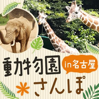 パーティーID:4220515の画像