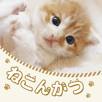 パーティーID:4220774の画像