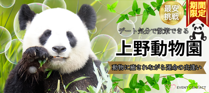 パーティーID:4227587の画像
