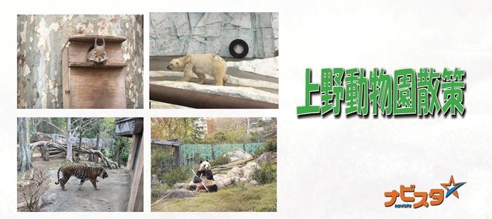 パーティーID:4227761の画像