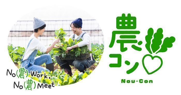 パーティーID:4229126の画像