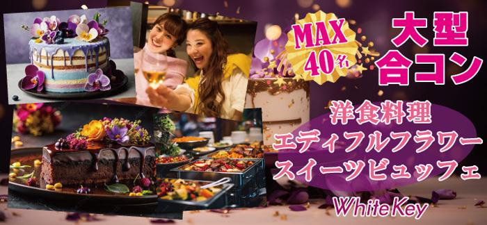 パーティーID:4229155の画像