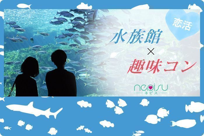 パーティーID:4230007の画像