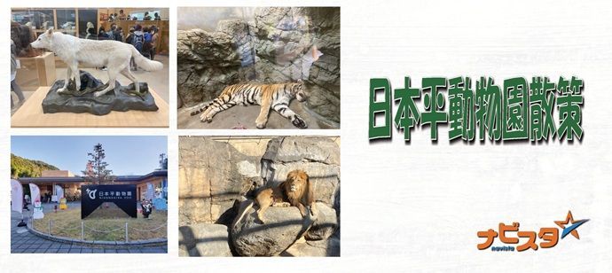パーティーID:4230016の画像
