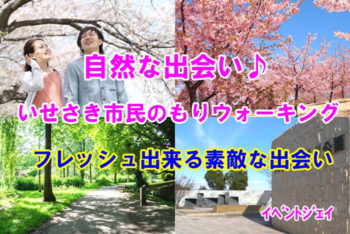 パーティーID:4230633の画像