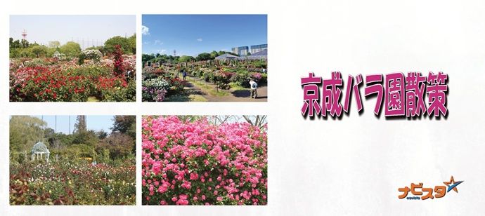 パーティーID:4231072の画像