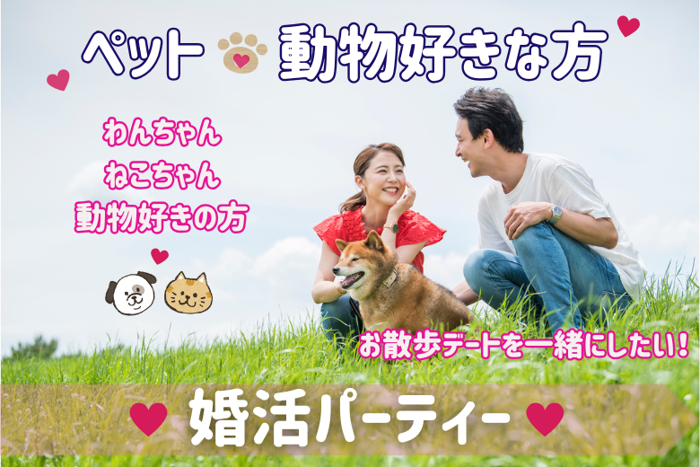 パーティーID:4232057の画像