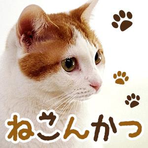 パーティーID:4232693の画像