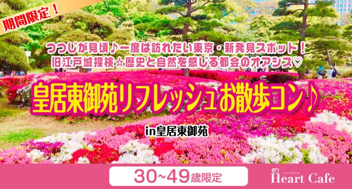 パーティーID:4233515の画像