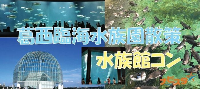 パーティーID:4234486の画像