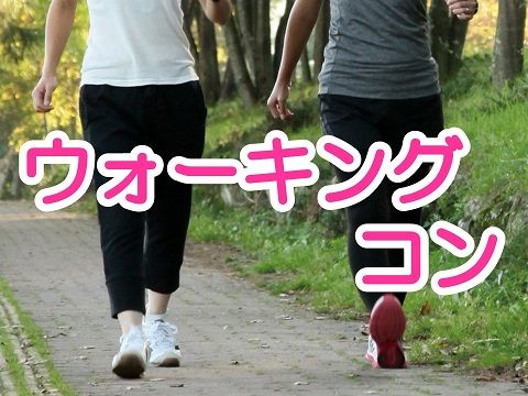 パーティーID:4235690の画像