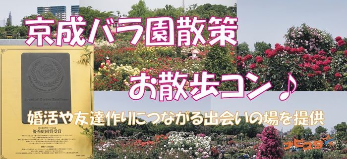 パーティーID:4235821の画像
