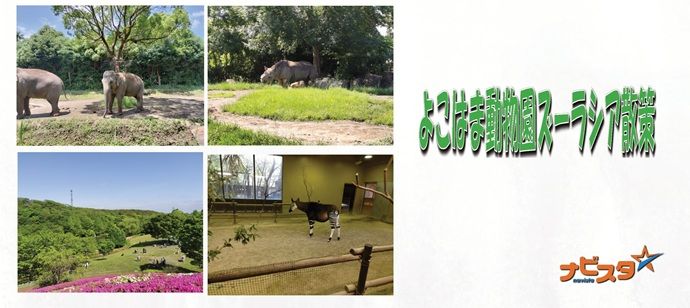 パーティーID:4238376の画像