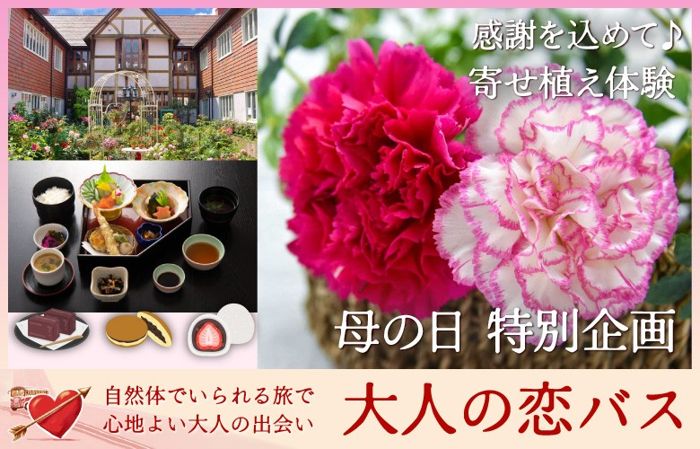 パーティーID:4238500の画像