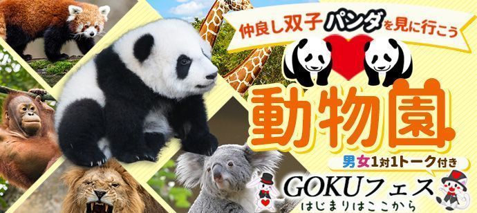 パーティーID:4238549の画像