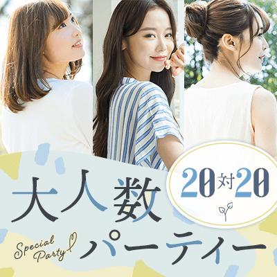 パーティーID:4238610の画像