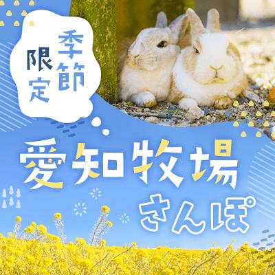 パーティーID:4238612の画像