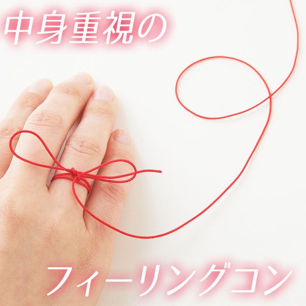 パーティーID:4238719の画像