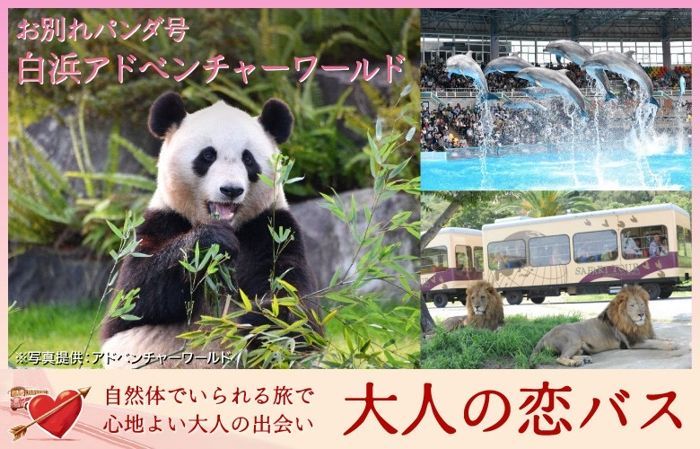 パーティーID:4239779の画像