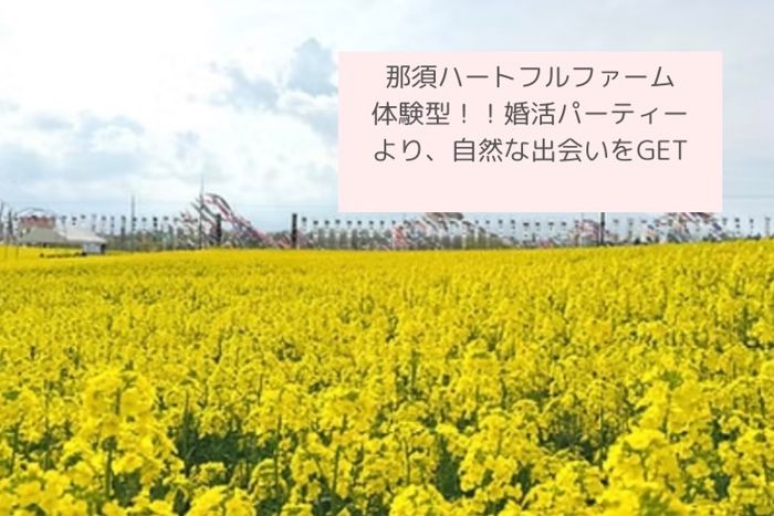 パーティーID:4240941の画像