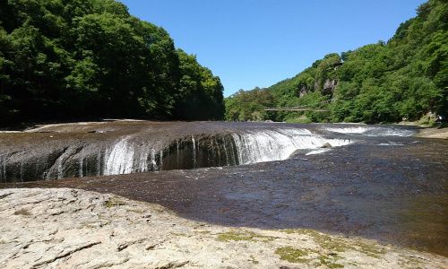 パーティーID:4241464の画像