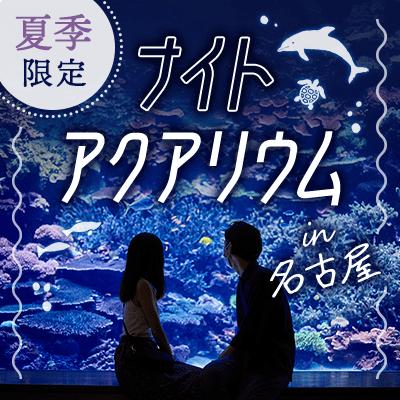 パーティーID:4242807の画像