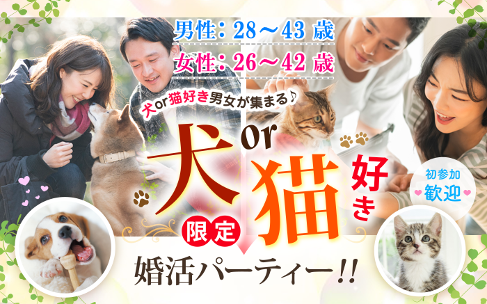 パーティーID:4243010の画像