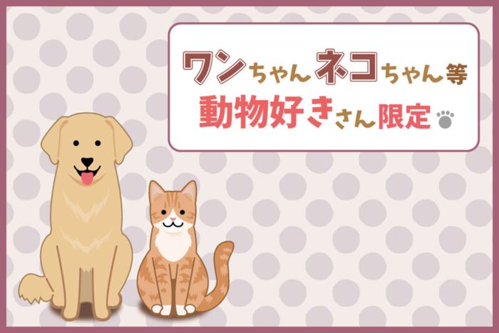 パーティーID:4244737の画像