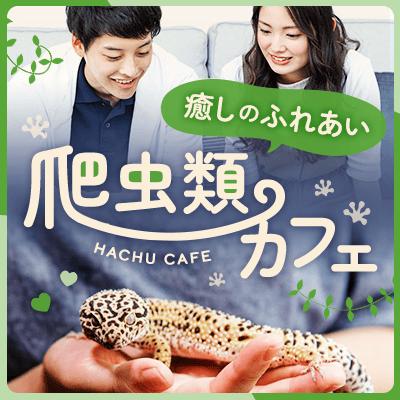 パーティーID:4245960の画像