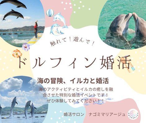 パーティーID:4246787の画像
